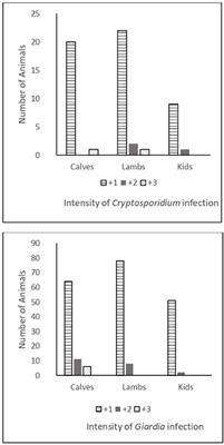 Cryptosporidium and Giardia in Livestock in Tigray, Northern Ethiopia and Associated Risk Factors for Infection: A Cross-Sectional Study